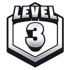 Level 3